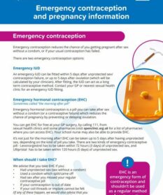 Emergency contraception and pregnancy information